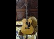rare Takamine palathetic pick up 