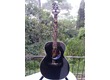 TAKAMINE LTD 2008 ELECTRO ACOUSTIQUE 