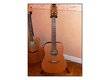Takamine N10-12