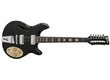 Takamine N10-12