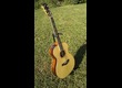  A Vendre Taylor 814 neuve