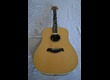 Taylor DN8E électro-acoustique