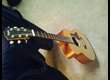 Taylor  GS Mini