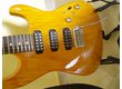 Tom Anderson Spécial Cobra S