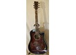 Electro acoustique VIG GUITARS