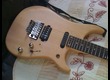 VIGIER BUMBLEFOOT 2009