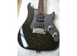 Vigier Excalibur Shawn Lane
