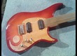 vigier surfreter + sustainer fernandes