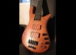 Rare! Warwick Streamer LX LTD 2088