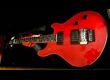 Washburn BT 10