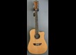 Washburn  D46SCE12