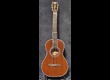 Washburn  R319SWK