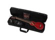 WASHBURN ROVER RO 10 ROUGE EXPO