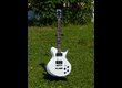 Vends Washburn Idol WI65 Pro