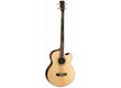 Cherche basse electro-acoustique 4c fretless
