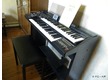 Yamaha Electone HE-8