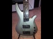 Yamaha Rbx JM2