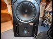 VENDS DEUX ENCEINTES TRUTH B2031A MARQUE BERHINGER
