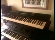 Vend Yamaha YS200