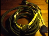 Digidesign DB25 - XLR AES/EBU 12'
