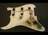 EMG DG20 David Gilmour