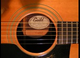 Guild D-50 Bluegrass 70' Westerly USA