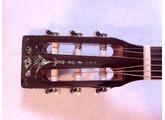 HarleyBenton CLF-200 NT