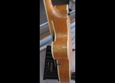 Ibanez FG100 - Natural