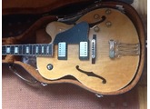 Ibanez FG100 - Natural