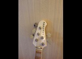 Lakland Darryl Jones 5