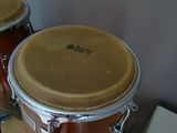 Lp Congas