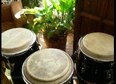 Lp Congas