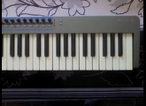 Novation XioSynth 49