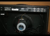 Peavey Ecoustic 112