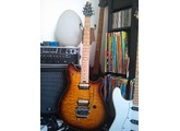 Peavey EVH Wolfgang Special TR Flametop