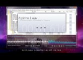 The batch player, one click to play them all!