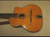 Richwood Guitars Manouche petite bouche