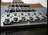 Vigier Excalibur Shawn Lane Master Signature - Clear Black Rosewood