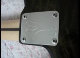 Vigier Excalibur Shawn Lane Master Signature - Clear Black Rosewood