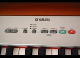 Yamaha P-120