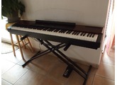 Yamaha P-120