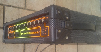 Pentatonic CR200B - 150 €