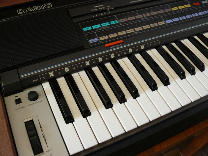 casio t