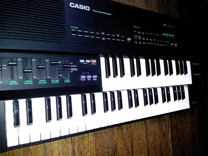 Casio DM100 image (336668) Audiofanzine