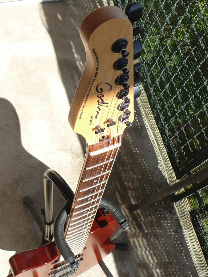 Godin Exit 22 - Rosewood lebtogae images