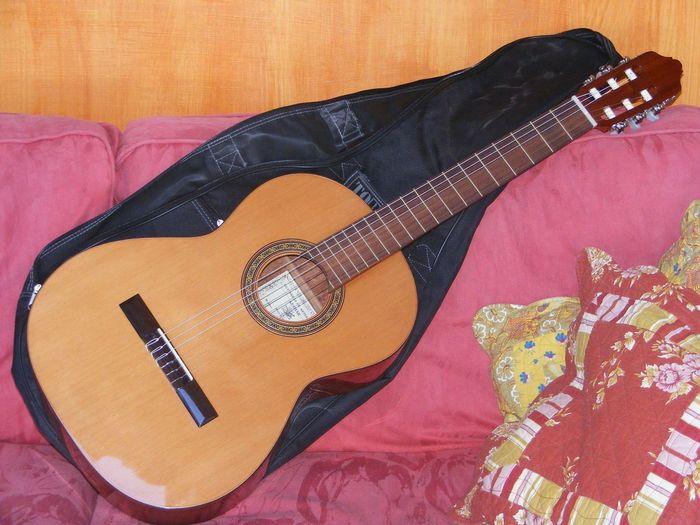 Guitarras Artesanas model Timoe Oghkhood images