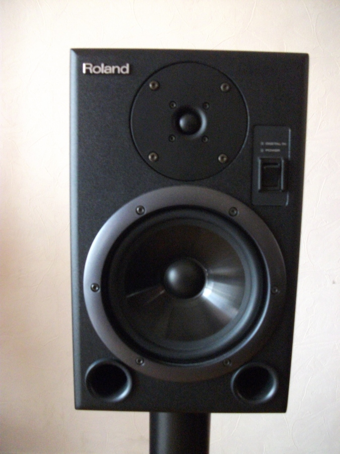 Roland DS-8 image (#522584) - Audiofanzine