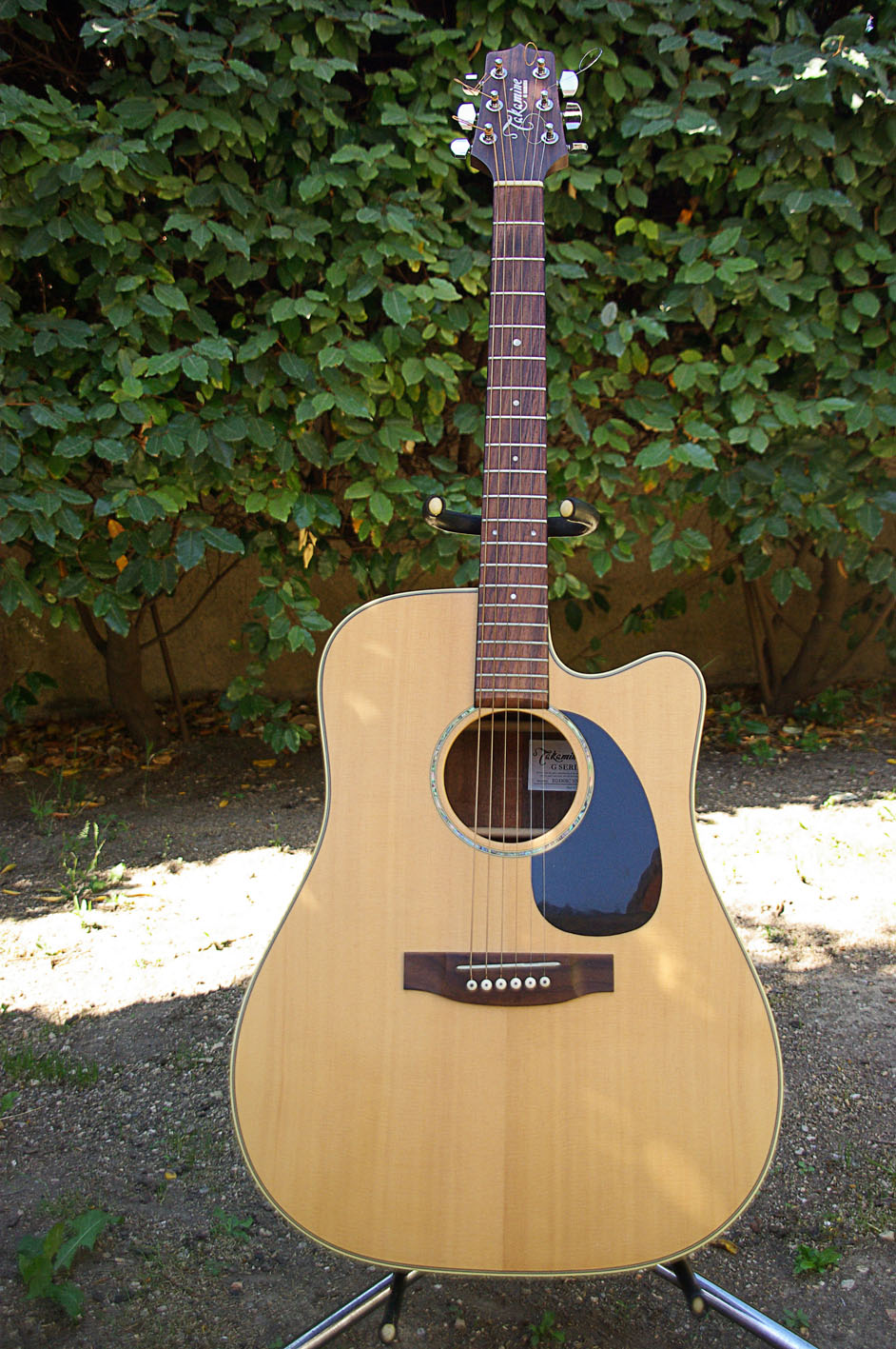 Photo Fender FM 100 Head IMGP1422.JPG (1442900) Audiofanzine