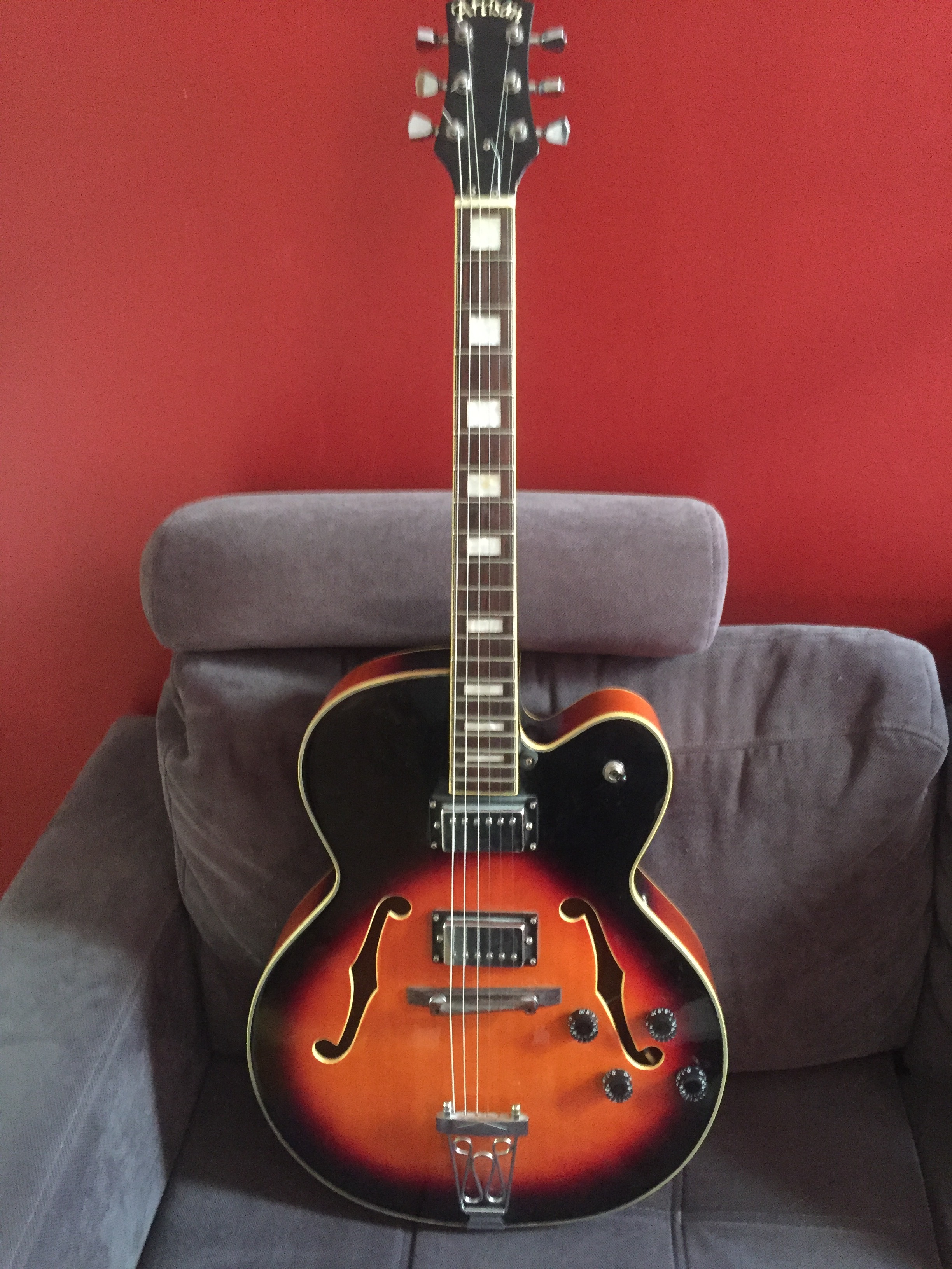 Harley Benton eguitar kit Tstyle image (1752192) Audiofanzine