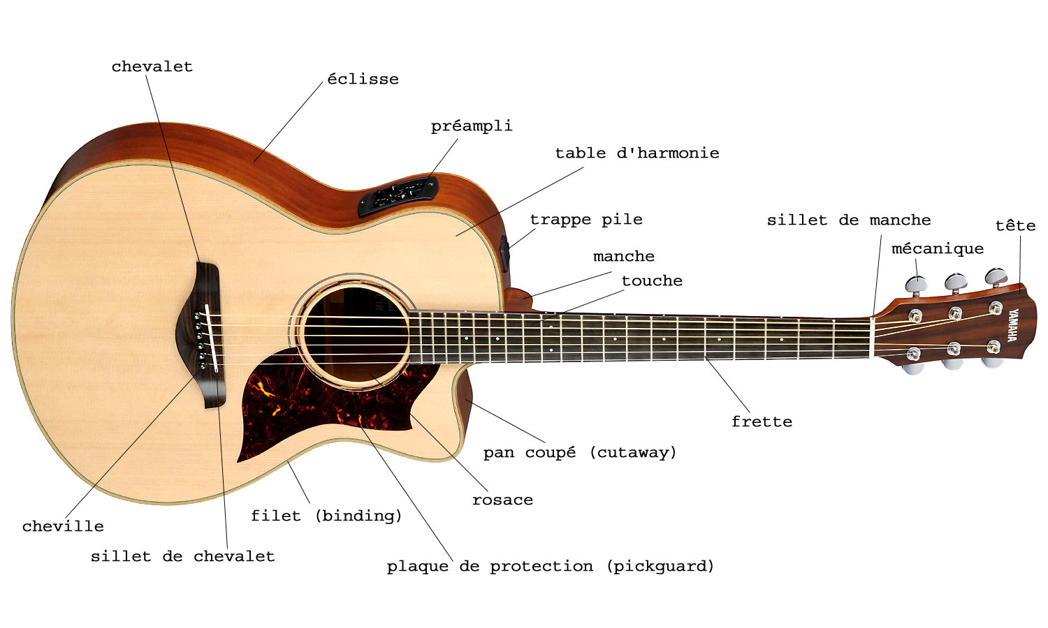 Guide d'achat des guitares acoustiques folk - Audiofanzine